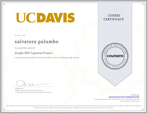Google SEO Capstone Project Coursera completato da Salvatore Palumbo